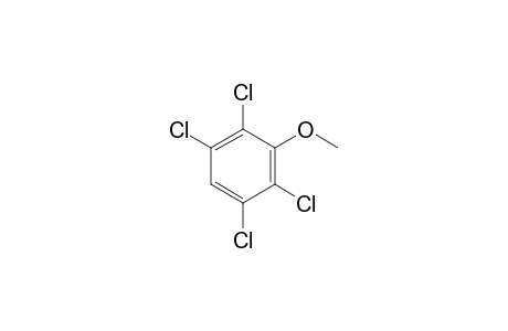 2,3,5,6-Tetrachloroanisole