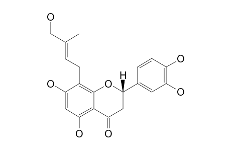 LICOLEAFOL;(S)-8-(E-3-HYDROXYMETHYL-2-BUTENYL)-3',4',5,7-TETRAHYDROXY-FLAVANONE