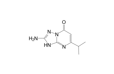 2-Amino-5-isopropyl[1,2,4]triazolo[1,5-a]pyrimidin-7(3H)-one