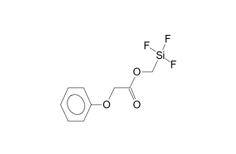 (PHENOXYACETOXYMETHYL)TRIFLUOROSILANE