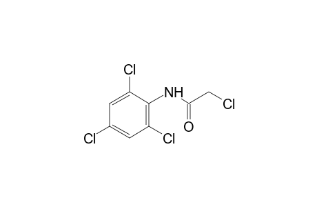 2,2',4',6'-tetrachloroacetanilide