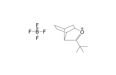 8-TERT-BUTYL-9-OXONIABICYCLO[2.2.1.2]NON-8-ENE TETRAFLUOROBORATE