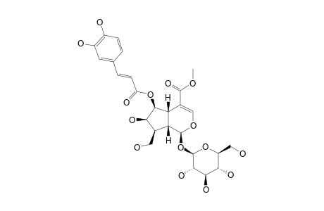 ARBORTRISTOSIDE B