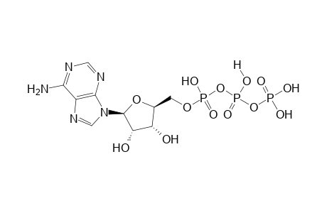 Adenosine-tri-phosphate