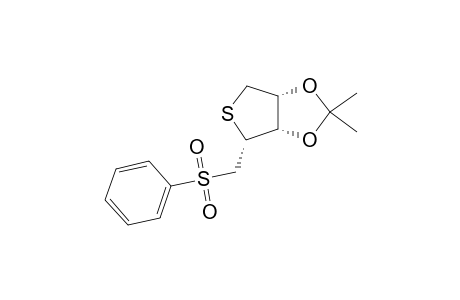 (2S,3S,4S)-BENZENESULFONYLMETHYL-3,4-ISOPROPYLIDENEDIOXY-TETRAHYDRO-THIOPHENE