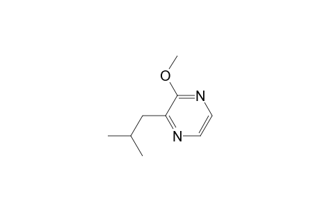 2-Isobutyl-3-methoxy-pyrazine