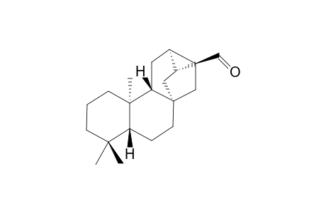 ent-Trachyloban-17-al