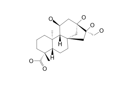 ENT-11-ALPHA,13,16-ALPHA,17-TETRAHYDROXYKAURAN_19-OIC_ACID