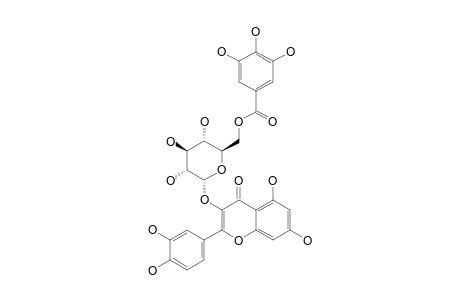 QUERCETIN-3-(6''-GALLOYL)-GALACTOSIDE