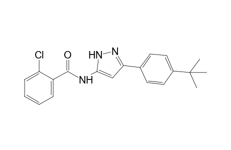 N-[3-(p-tert-butylphenyl)pyrazol-5-yl]-o-chlorobenzamide