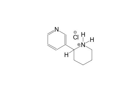 piperidinium, 2-(3-pyridinyl)-, chloride, (2S)-