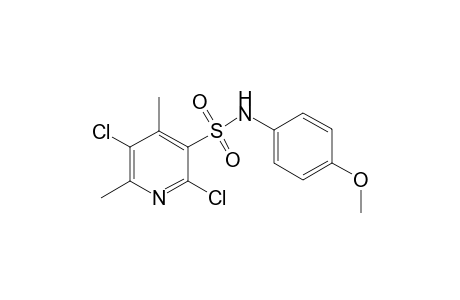 2,5-Dichloro-4,6-dimethyl-pyridine-3-sulfonic acid (4-methoxy-phenyl)-amide