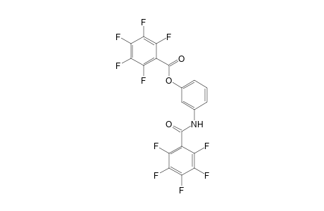 Pentafluorbenzoesaeure-[(n-pentafluorbenzoyl)-m-aminophenyl]-ester