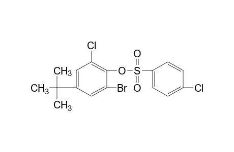 2-bromo-4-tert-butyl-6-chlorophenyl , p-chlorobenzenesulfonate