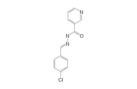 N'-(4-CHLOROBENZYLIDENE)-NICOTINO-HYDRAZIDE