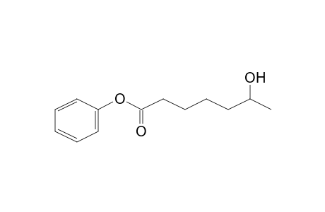 Heptanoic acid, 6-hydroxy-, phenyl ester