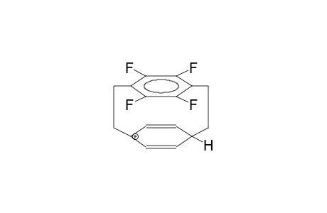 TETRAFLUORO[2.2]PARACYCLOPHANE, PROTONATED