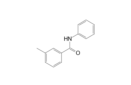 m-toluanilide