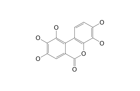 3,4,8,9,10-PENTAHYDROXY-DIBENZO-[B,D]-PYRAN-6-ONE