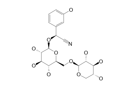 ZIERINXYLOSIDE