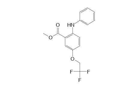 Benzoic acid, 2-anilino-5-(2,2,2-trifluoroethoxy)-, methyl ester