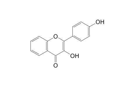 4'-HYDROXYFLAVONOL