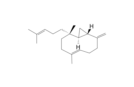 PACIFICIN_I