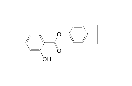 4-tert-BUTYLPHENYL SALICYLATE