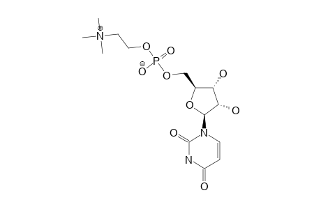 URIDINE-PHOSPHATIDYLCHOLINE