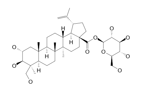 RUBUSIDE_I;2-ALPHA,3-BETA,24-TRIHYDROXYLUP-20-(29)-EN-28_OIC_ACID_28-O-BETA-D-GLUCOPYRANOSIDE