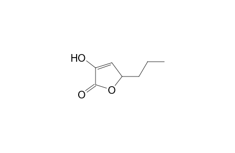 4-hydroxy-2-propyl-2H-furan-5-one