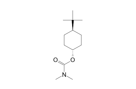 4-TERT.-BUTYL-CYCLOHEXYL-N,N-DIMETHYLCARBAMATE