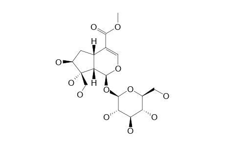 GENAMESIDE-B