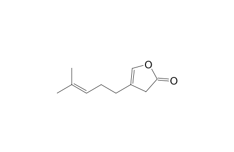 4-(4-methyl-3-pentenyl)-2(3H)-furanone