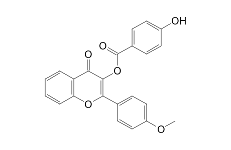 p-hydroxybenzoic acid, ester with 3-hydroxy-4'-methoxyflavone