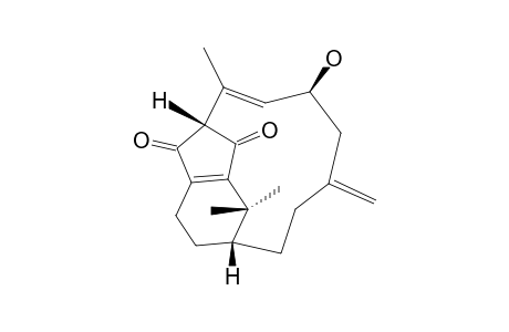 CESPITULARIN_I