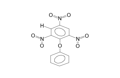 1-PHENOXY-2,4,6-TRINITROBENZENE