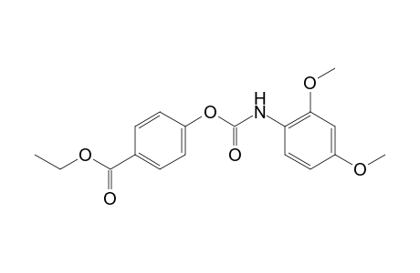 Benzoic acid, 4-(2,4-dimethoxyphenylcarbamoyloxy)-, ethyl ester