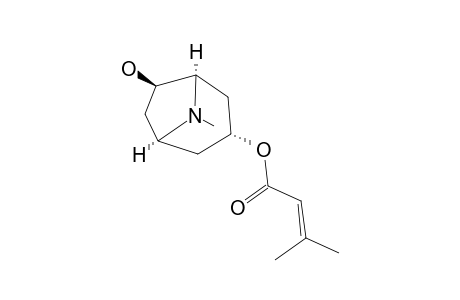 3-ALPHA-SENECIOYLOXY-6-BETA-HYDROXY-TROPANE