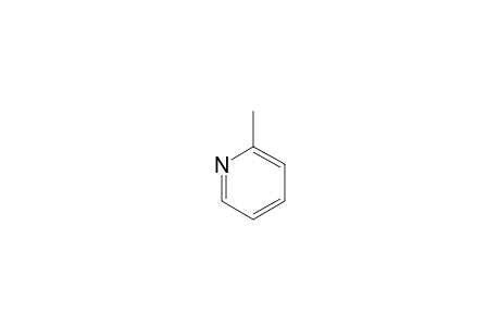 2-Methylpyridine