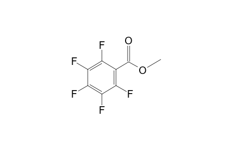 PENTAFLUOROBENZOIC_ACID-METHYLESTER