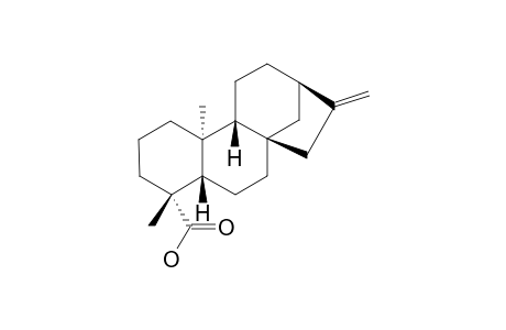 KAURENOIC-ACID