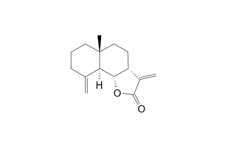 CRITONILIDE