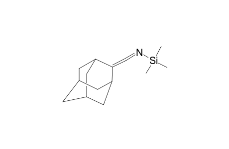 N-(TRIMETHYLSILYL)-2-ADAMANTYLIDENMETHYLAMINE