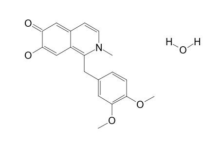 Protopapaverine mono-hydrate