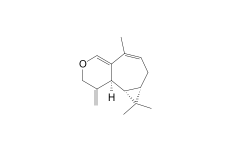 (+)-PLAGIOCHILINE-X