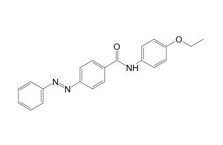 4-(phenylazo)-p-benzophenetidide