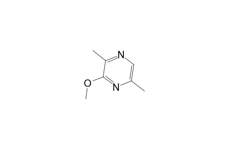 3-Methoxy-2,5-dimethylpyrazine