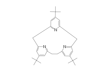 5,12,19-TRI-TERT.-BUTYL-[2.1.1]-(2,6)-PYRIDINOPHANE