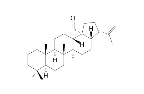 Hop-22(29)-en-28-al